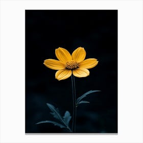 Single Yellow Flower 32 Canvas Print