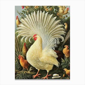 Chicken 2 Haeckel Style Vintage Illustration Bird Canvas Print
