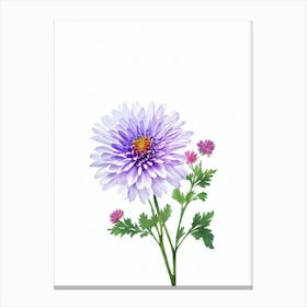 Chrysanthemums Purple  Watercolour Flower Canvas Print