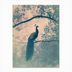 Peacock In A Tree Turquoise Cyanotype Inspired  4 Canvas Print