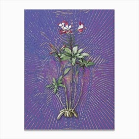 Vintage Lily of the Incas Botanical Illustration on Veri Peri Canvas Print