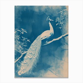 Peacock In The Tree Cyanotype Inspired 2 Canvas Print