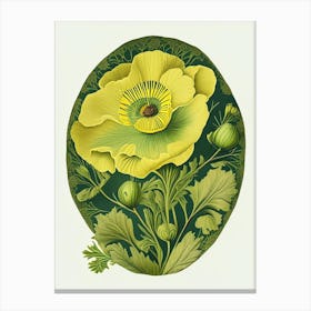 Buttercup 1 Floral Botanical Vintage Poster Flower Canvas Print