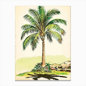 Palm Tree Storybook Illustration 1 Canvas Print