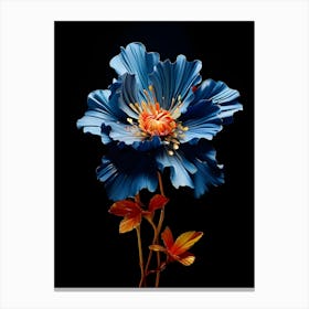 Blue Cosmos 3 Canvas Print