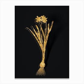 Vintage Lesser Wild Daffodil Botanical in Gold on Black n.0238 Canvas Print