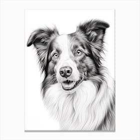 Border Collie Dog, Line Drawing 3 Canvas Print