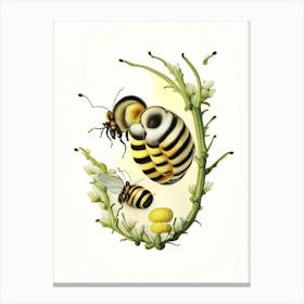 Larva Bees 3 Vintage Canvas Print