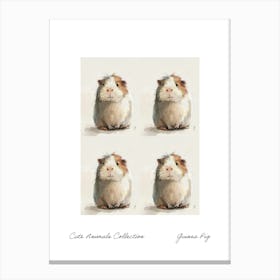 Cute Animals Collection Guinea Pig 3 Canvas Print