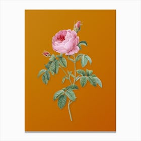 Vintage Provence Rose Bloom Botanical on Sunset Orange n.0765 Canvas Print