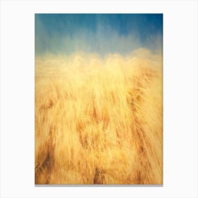 Sand Dune Grass And Blue Sky Canvas Print