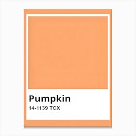 Pumpkin Canvas Print