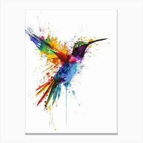 Colorful Hummingbird Canvas Print