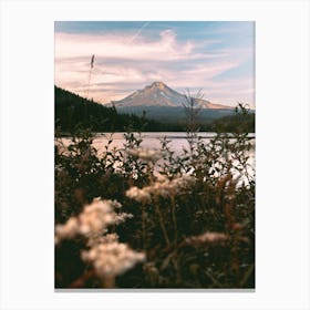 Mount Hood Wildflower Adventure Canvas Print