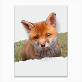 Baby Fox Torn Paper Canvas Print