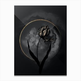 Shadowy Vintage Didier's Tulip Botanical on Black with Gold Canvas Print