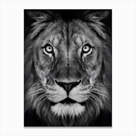 Lion Face Canvas Print