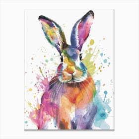 Rabbit Colourful Watercolour 3 Canvas Print