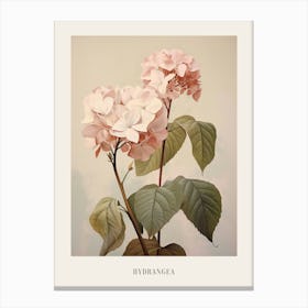 Floral Illustration Hydrangea 2 Poster Canvas Print