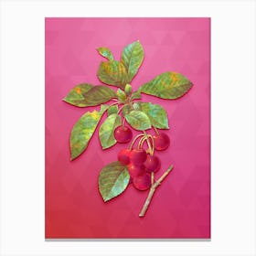 Vintage Cherry Botanical Art on Beetroot Purple n.0930 Canvas Print