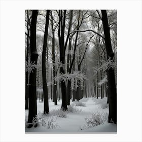 Winter Forest 8 Canvas Print