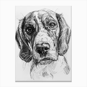Beagle Dog Line Sketch 3 Canvas Print