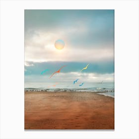 Colorful Seagulls In The Beach Canvas Print