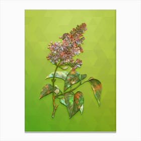 Vintage Common Pink Lilac Plant Botanical Art on Love Bird Green n.0077 Canvas Print
