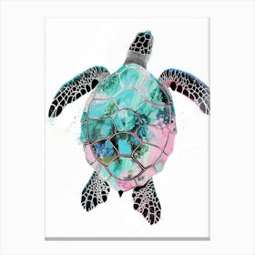 Aqua Pink Sea Turtle On A White Background Canvas Print