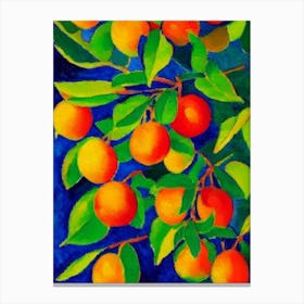 Loquat 2 Fruit Vibrant Matisse Inspired Painting Fruit Canvas Print