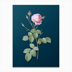 Vintage Provence Rose Botanical Art on Teal Blue 2 Canvas Print