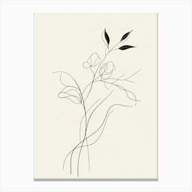 Line Drawing Of A Flower 5 Canvas Print