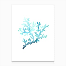 Blue Coral Canvas Print