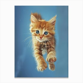 Kitten In Flight Canvas Print