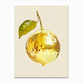 Disco Ball 30 Canvas Print