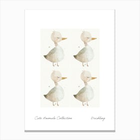 Cute Animals Collection Duckling 2 Canvas Print