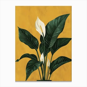 Peace Lily 1 Canvas Print