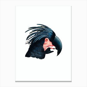 Vintage Goliath Palm Cockatoo Head Study Bird Illustration on Pure White Canvas Print