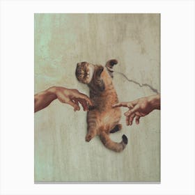 Touch Of A Kitty Canvas Print