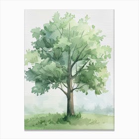 Linden Tree Atmospheric Watercolour Painting 5 Canvas Print