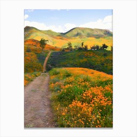 California Poppies 1 Canvas Print