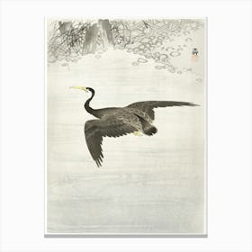 Cormorant In Flight (1900 1930), Ohara Koson Canvas Print