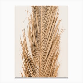Dried Palm Leaf Canvas Print