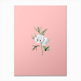 Vintage Lilac Hibiscus Flower Branch Botanical on Soft Pink n.0959 Canvas Print