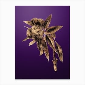 Gold Botanical Spanish Chestnut on Royal Purple n.1365 Canvas Print