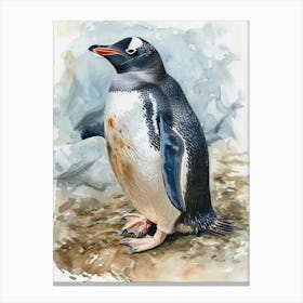 Humboldt Penguin Dunedin Taiaroa Head Watercolour Painting 4 Canvas Print