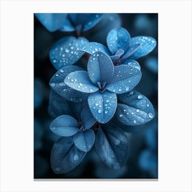 Blue Leaves With Water Droplets Canvas Print