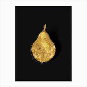 Vintage Pear Botanical in Gold on Black n.0012 Canvas Print