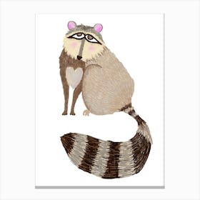 Raccoon Canvas Print