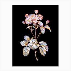 Stained Glass Vintage Pink Rosebush Mosaic Botanical Illustration on Black Canvas Print